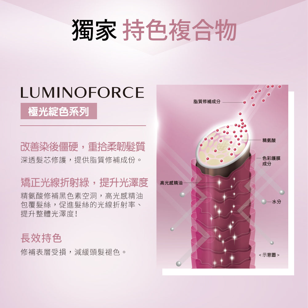 SHISEIDO SMC LUMINOFORCE SHAMPOO 250ml 柔亮洗髮水 (染後 / 護色)