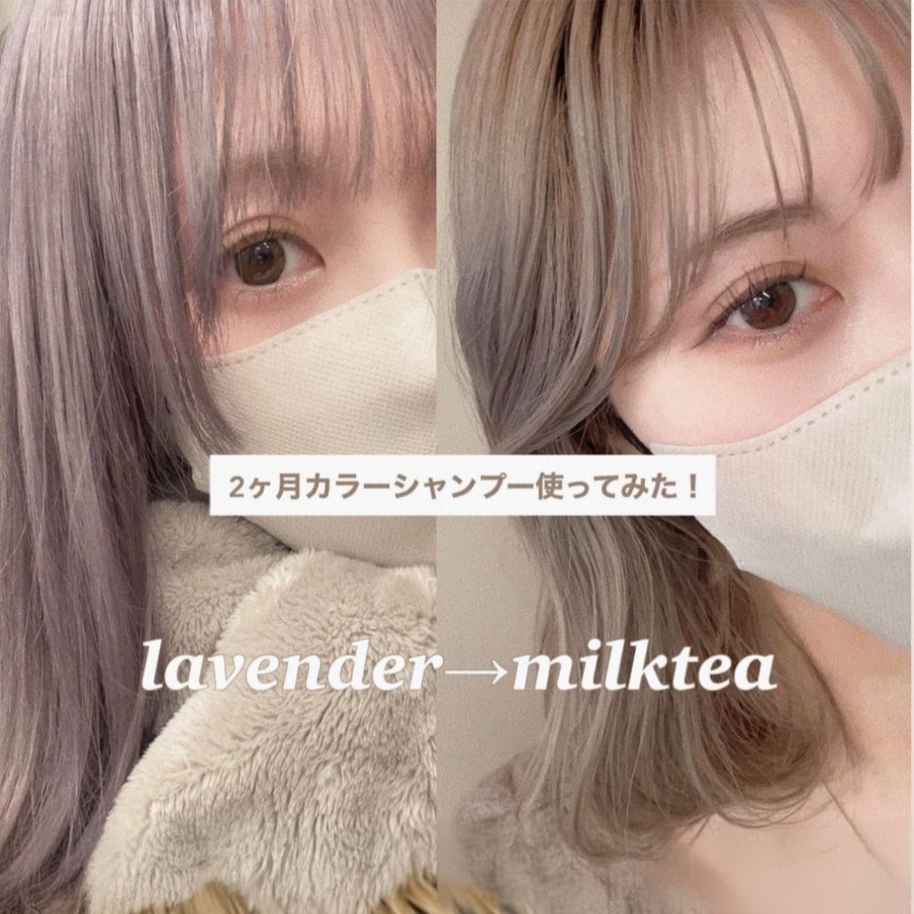 Lavender Milbon 薰衣草紫色去黃 Color Shampoo 補色洗頭水