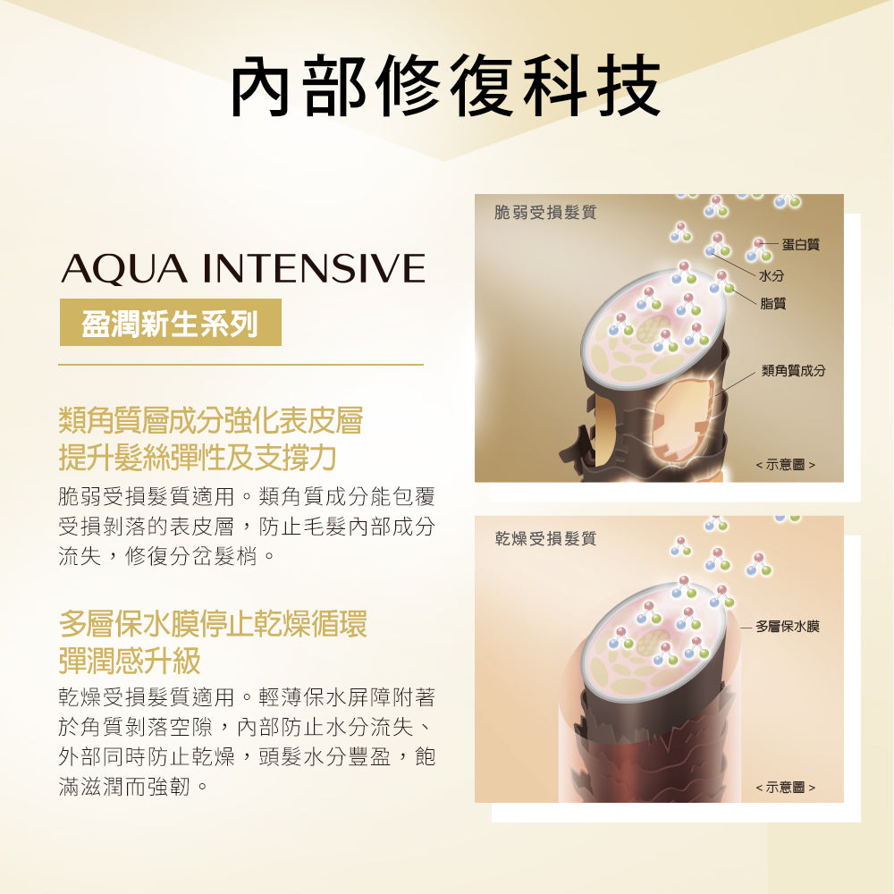 SHISEIDO SMC AQUA INTENSIVE MASK (DRY, DAMAGED HAIR) 200g 水凝髮膜（乾旱且受損髮絲）